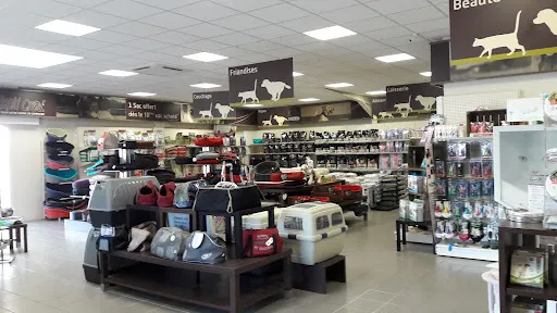 Médor et Compagnie Unieux à Unieux