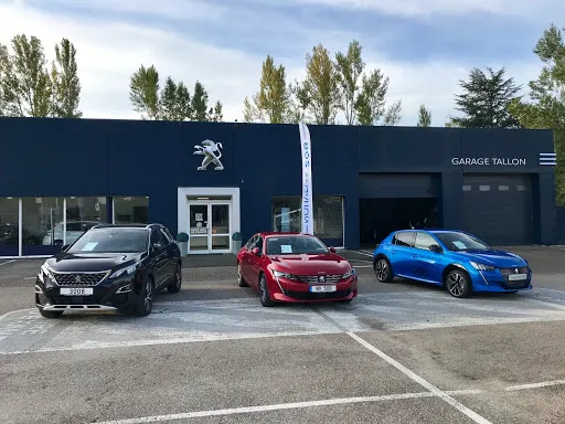 PEUGEOT - GARAGE TALLON à Unieux